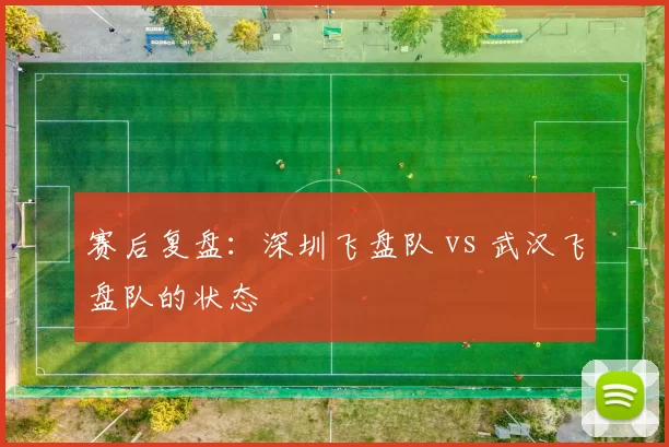 赛后复盘：深圳飞盘队 vs 武汉飞盘队的状态