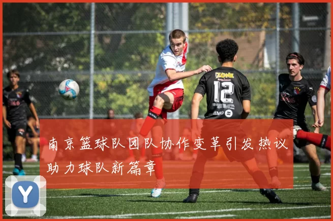 南京篮球队团队协作变革引发热议助力球队新篇章