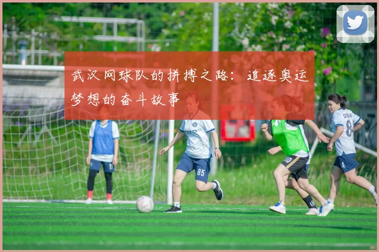 武汉网球队的拼搏之路：追逐奥运梦想的奋斗故事