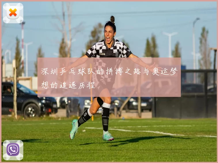 深圳乒乓球队的拼搏之路与奥运梦想的追逐历程